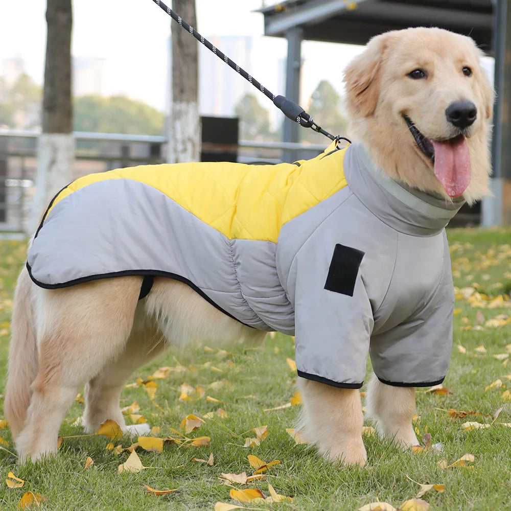 High-Neck Warm Jumpsuit for Dogs, Waterproof Dog Overalls, Cotton Blend Coat, Golden Labrador Retriever, Big Dog, Winter