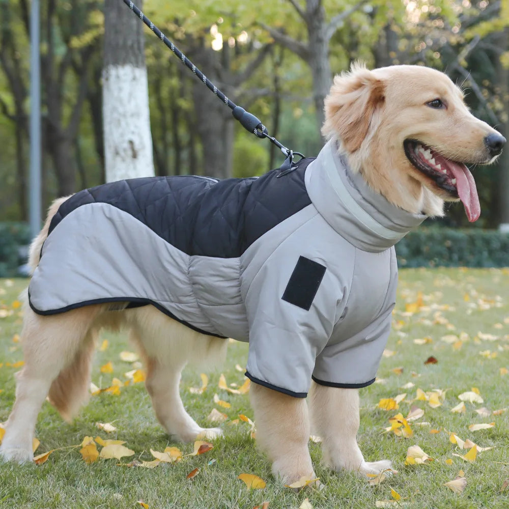High-Neck Warm Jumpsuit for Dogs, Waterproof Dog Overalls, Cotton Blend Coat, Golden Labrador Retriever, Big Dog, Winter